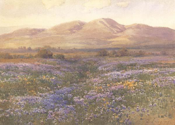 unknow artist Lupine in Kern County Norge oil painting art